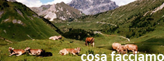 cosa facciamo_bagoss