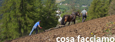 cosa facciamo_belluno
