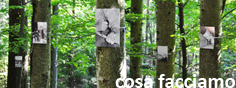 cosa facciamo_casentino
