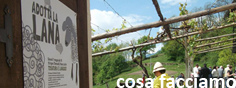 cosa facciamo_valsugana