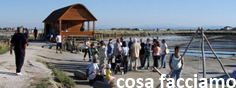 cosa facciamo–cervia